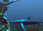 Tomb Raider screenshot