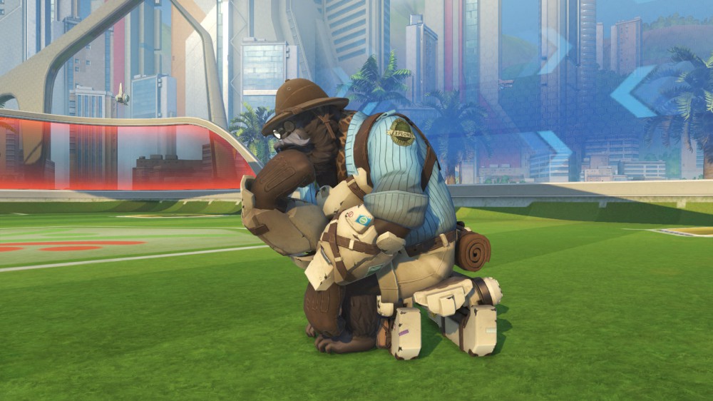 Overwatch
