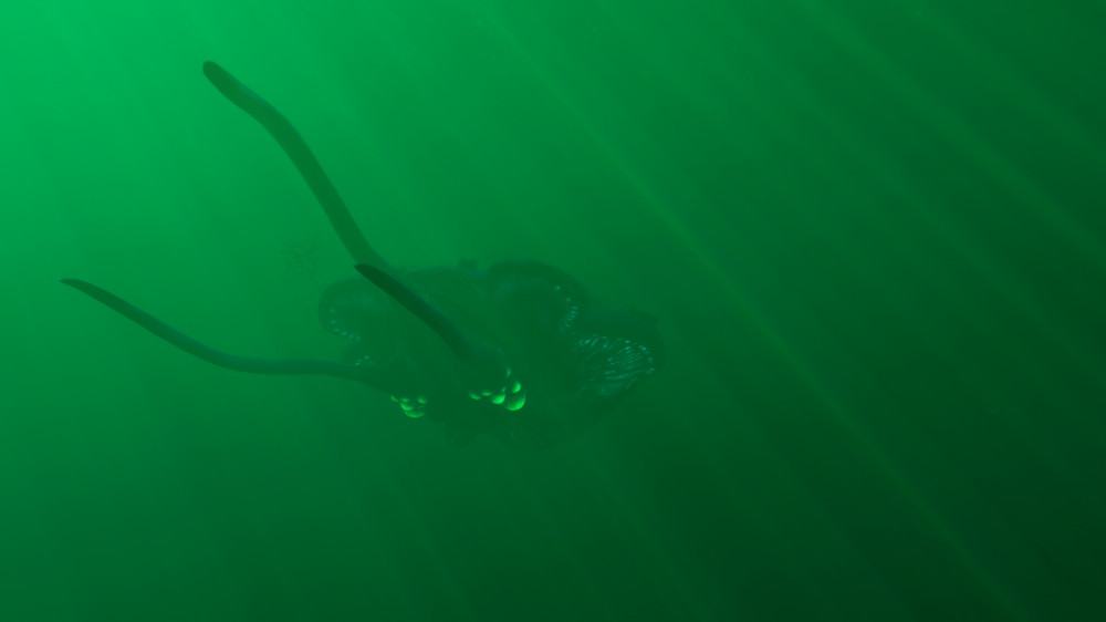 Subnautica