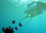 Subnautica