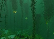 Subnautica