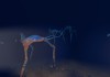 Subnautica Subnautica thumbnail