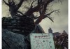 We Happy Few