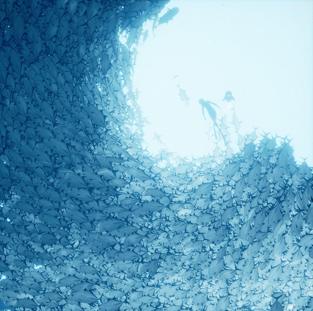 ABZÛ