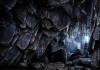 The Solus Project