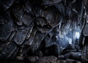 The Solus Project
