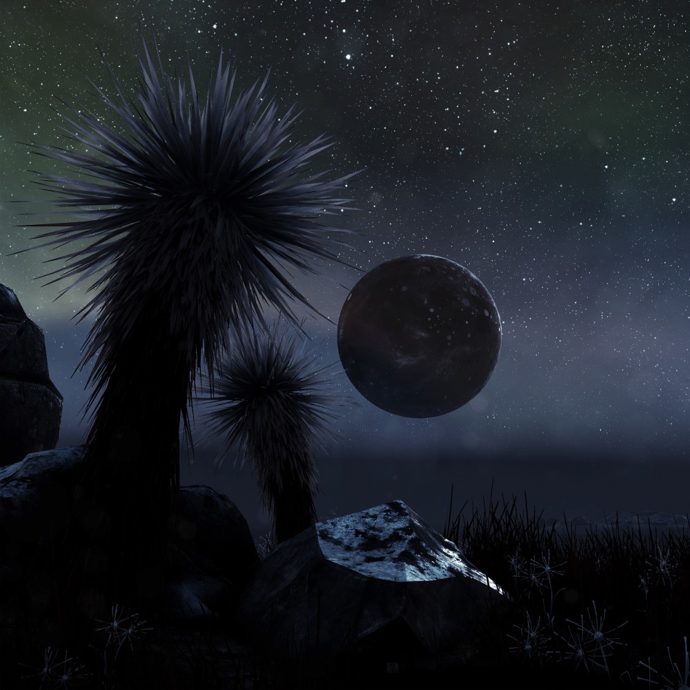 The Solus Project