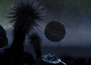 The Solus Project