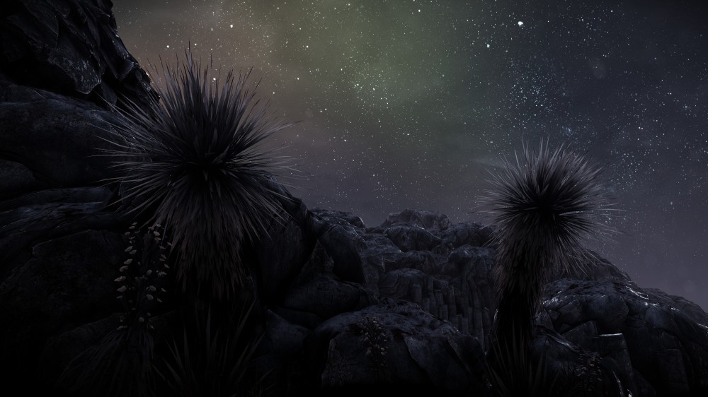The Solus Project