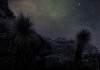 The Solus Project