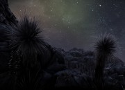 The Solus Project