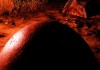 The Solus Project