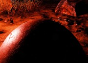 The Solus Project