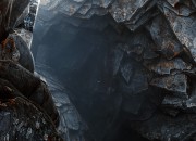 The Solus Project