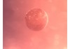 The Solus Project