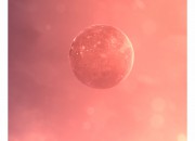 The Solus Project