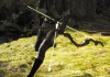 Paragon