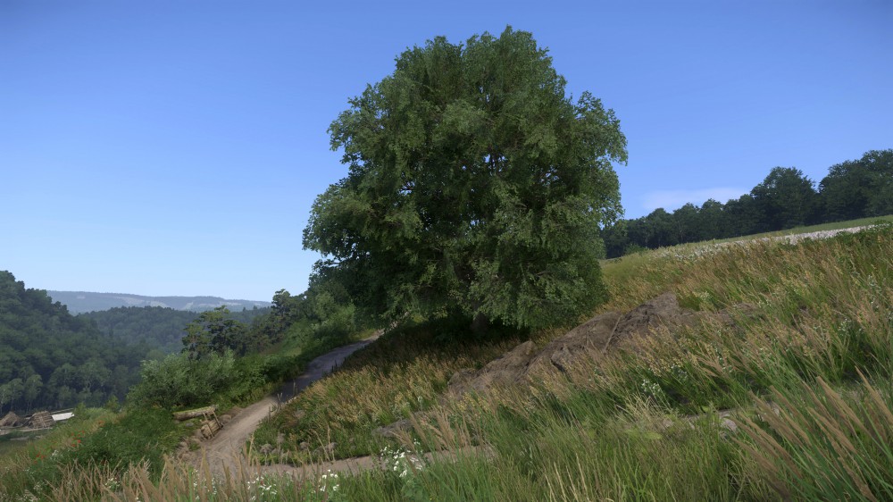 Kingdom Come: Deliverance