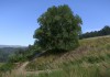 Kingdom Come: Deliverance