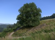 Kingdom Come screenshot