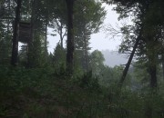 Kingdom Come: Deliverance