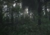 Kingdom Come: Deliverance