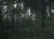 Kingdom Come: Deliverance