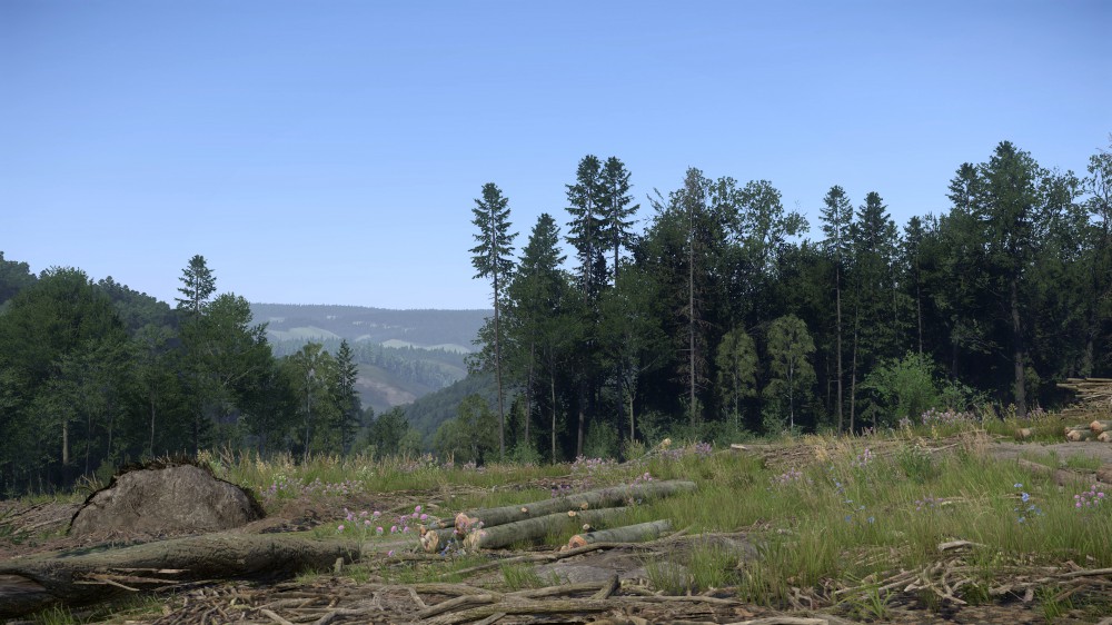 Kingdom Come: Deliverance