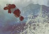 Shadow Warrior 2