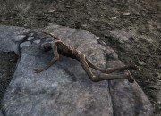 Singularity