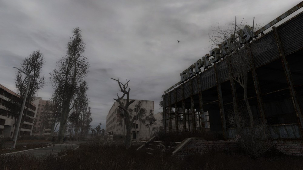S.T.A.L.K.E.R.: Call of Pripyat