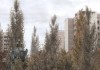 S.T.A.L.K.E.R.: Call of Pripyat