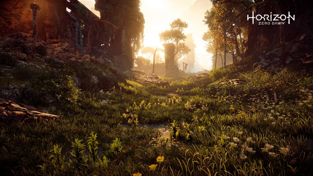 Horizon Zero Dawn