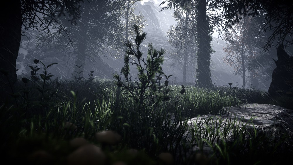 Horizon Zero Dawn