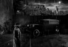 RENOIR thumbnail