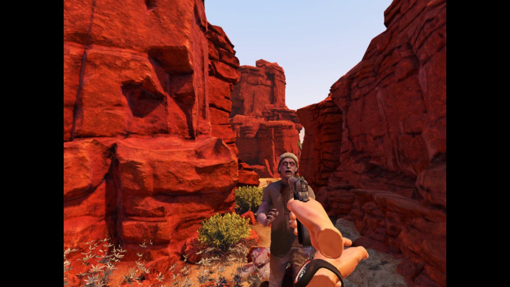 Arizona Sunshine