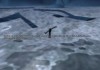 Penumbra: Overture