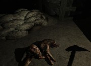 Penumbra screenshot