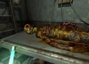 Penumbra screenshot