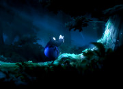 Ori and the Blind Forest