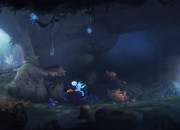 Ori and the Blind Forest