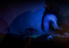 Ori and the Blind Forest