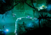 Ori and the Blind Forest