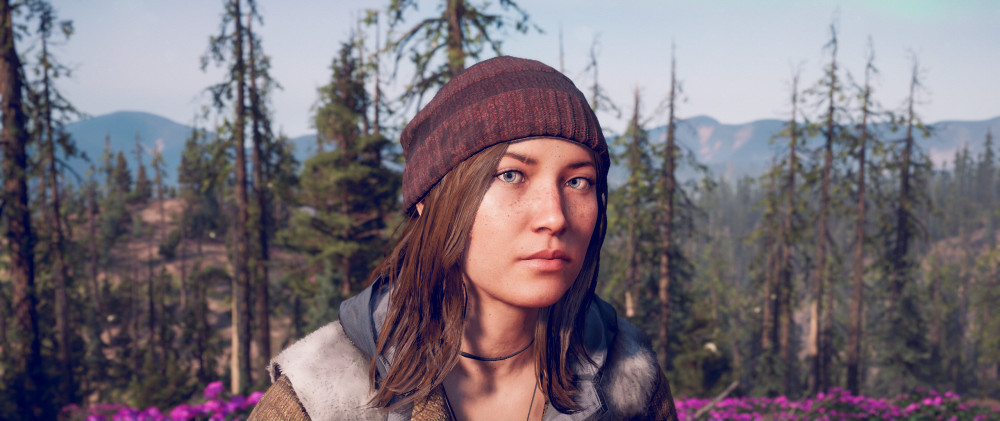 Far Cry: New Dawn