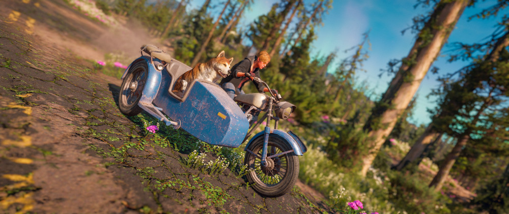 Far Cry: New Dawn