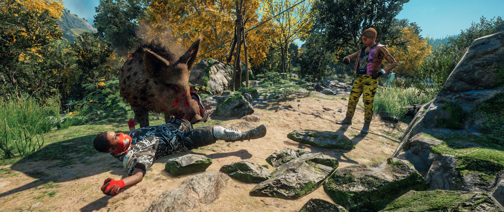 Far Cry: New Dawn