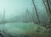 Far Cry: New Dawn