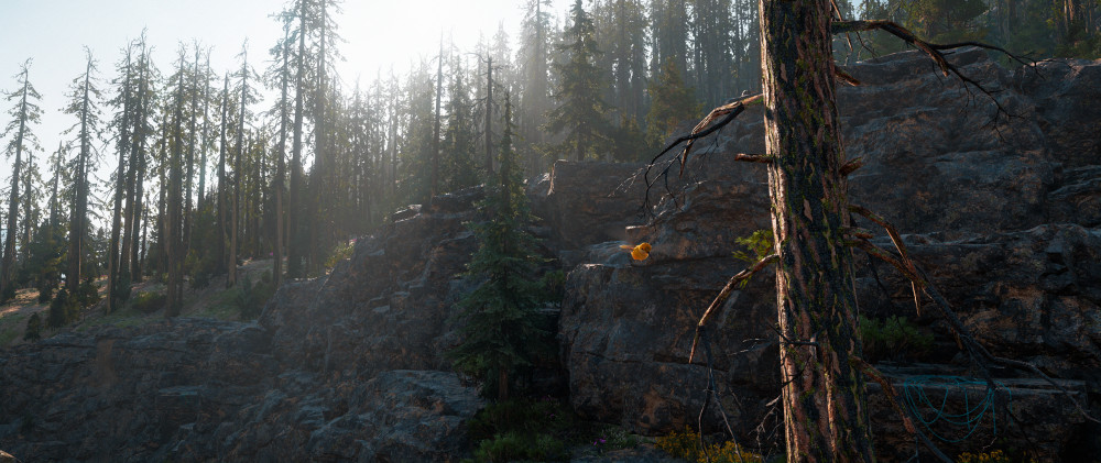 Far Cry: New Dawn