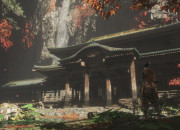 Sekiro:  Shadows Die Twice
