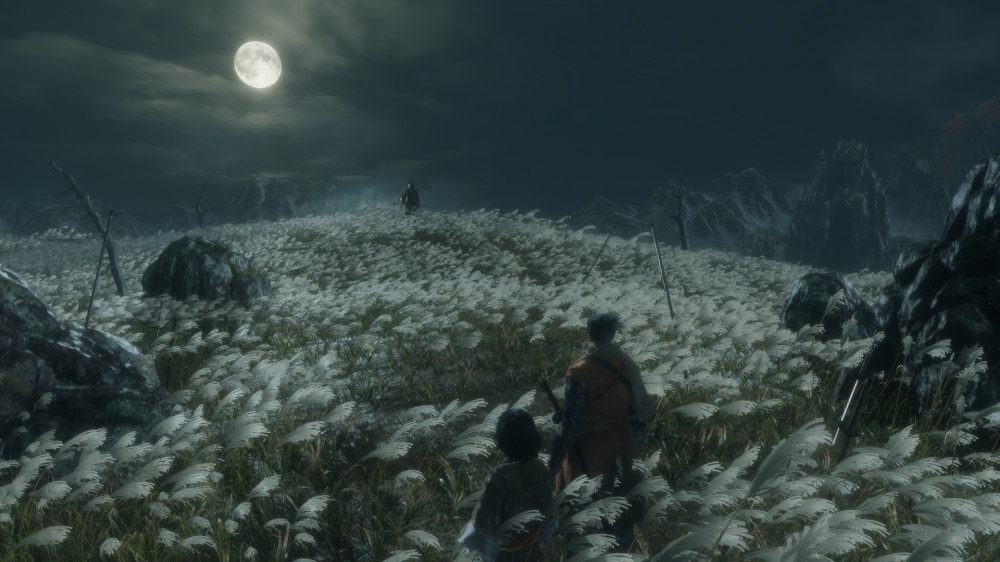 Sekiro:  Shadows Die Twice